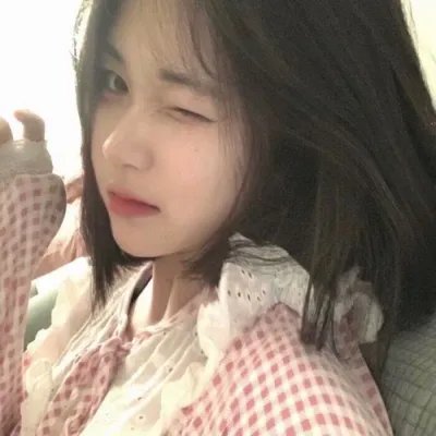 洪拳与咏春